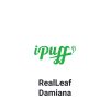 RealLeaf Damiana תחליף טבק